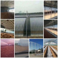 曲周溫室大棚養(yǎng)殖棚大棚設計安裝有限公司