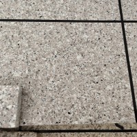 外墻  水包水 水包砂