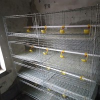 養(yǎng)雞苗籠子。
