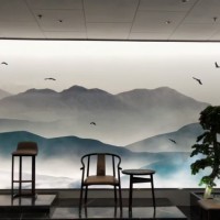 專業(yè)墻體彩繪