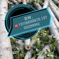 買樹，?? 15100059570