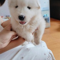 物品買(mǎi)賣(mài)?。?！